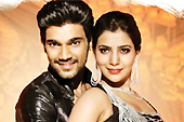 Alludu-Seenu-review 