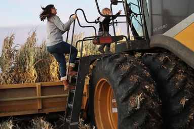 Trump sanctions $19 billion for the aid of farmers hit by pandemic