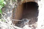 Tunnel, Tunnel discovered in Jammu and Kashmir, bsf found 20 meter tunnel from pakistan in sambha j k, Pakistan rangers