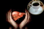 Coffee in protecting Livers, Liver Cancer prevention, coffee consumption helps in protecting boozers livers, Alcohol addicts