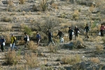 Arizona Line, US Border, u s border patrol detain 95 migrants near arizona line, Arizona line