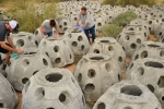 David Weedman, contraptions, check out why arizona is dropping these weird contraptions in lakes, Roosevelt lake