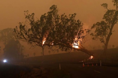 Australia Fires: Warnings of Huge Blazes Ahead Despite Raining