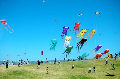 Pongal Kite Celebrations