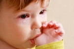 Conjunctivitis, Conjunctivitis, real causes does your baby have watery eyes, Common cold