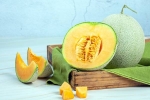 Muskmelon Seeds benefits, Muskmelon Seeds season, health benefits of muskmelon seeds, Muskmelon seeds