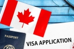 Canada's study visa approvals, Canada's study visa approvals for Indians, canada s study visa approvals for indian students to drop by 50 in 2024, December 16