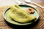 Curry Leaves Dosa latest, Curry Leaves Dosa recipe, recipe curry leaves dosa, Incredible