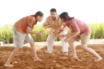 Aamir Khan news, Dangal latest, dangal 13 days collections, Mahavir singh