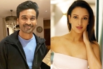 Anand L Rai, Triptii Dimri new movie, dhanush to romance animal actress triptii dimri, Romantic comedy