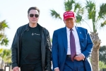 Donald Trump and Elon Musk, Donald Trump, donald trump finally addresses rumors about elon musk, Confederate