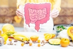 Better Gut Health news, Better Gut Health updates, quick and easy drinks for better gut health, Healthy digestive system