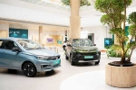 Car Sales September 2024 breaking, Car Sales September 2024, electric car and suv sales reach lowest in september 2024, Euro