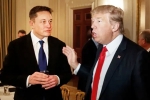 Elon Musk news, Donald Trump's Campaign, elon musk donates for donald trump s campaign, Electric vehicles