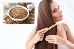 Flaxseeds breaking updates, Flaxseeds for hair, how flaxseeds can help for a long and healthy hair, Fatty