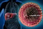 Hepatitis C, Gilead Sciences, good news india may soon get treatment for hepatitis c, Lower breast cancer risk