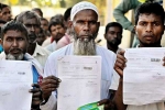 NRC, NRC, nrc nri body seeks indian citizenship to hindu immigrants, Nrc