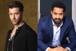 Hrithik Roshan and NTR news, Hrithik Roshan, hrithik roshan s birthday wishes to ntr, Happy birthday