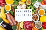 Immunity Tips science, Immunity Tips science backed, interesting science backed tips to feel your best, Immunity tips