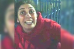 Indian abused in Australia, Luna Park, pregnant indian women racially abused in sydney, Luna park