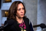 tax day, tax returns, kamala harris releases tax returns of 15 years, Net profit