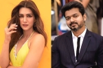 Kriti Sanon new movie, Kriti Sanon South film, kriti sanon to romance vijay in his next, Nenokkadine