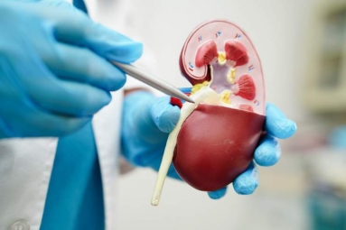 Tips To Lower Your Creatinine Levels