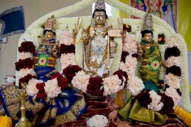 Thai Poosam Celebrations - Subramanya Swamy Kavadi Thiruvizha