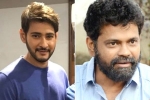 Mahesh Babu next, Mahesh Babu news, mahesh babu shelves sukumar s project, Nenokkadine