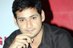 Koratala Siva, Vamshi Paidipally, mahesh reveals his next projects, Newyear