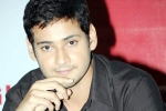 Mahesh Babu updates, AR Murugadoss, mahesh out of summer race, Sambhavami