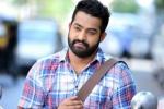 NTR latest, NTR, official ntr s next film locked, Sardar gabbar singh