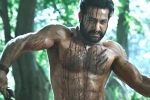 Ramaraju for Bheem teaser, Ramaraju for Bheem teaser, ramaraju for bheem ntr s deadly transformation as komaram bheem, Best actors