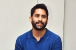 Naga Chaitanya lineup, Naga Chaitanya breaking news, change of plans for naga chaitanya, Romantic comedy