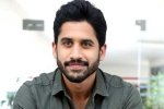 Naga Chaitanya films, Naga Chaitanya updates, naga chaitanya coming up with a strong lineup of films, Naandhi