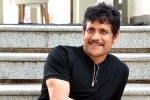 Nagarjuna news, Nagarjuna next movie, nagarjuna s 100th film will be a multi starrer, Wild dog