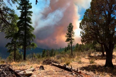 New wildfire in central Arizona Threatens buildings