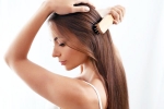 Healthy Hair types, Healthy Hair nuts, nutrition tips for a healthy hair, Minerals