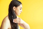 Overnight Hair Oiling bad, Overnight Hair Oiling bad, is overnight hair oiling right for you, Health tips