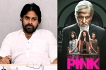 Pawan Kalyan remake, Pawan Kalyan, powerstar in talks for pink remake, Pink remake