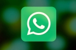 social media, WhatsApp, why are people leaving whatsapp here s why, Social media applications