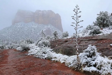 Phoenix Sees Spikes In Temperatures, But Not For Long