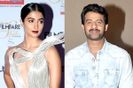 Pooja Hegde news, Prabhas, pooja hegde all set to romance prabhas, Duvvada jagannadham