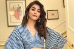 Pooja Hegde next movie, Boney Kapoor, pooja hegde in pink remake, Taapsee