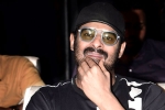 Prabhas and Maruthi Film shooting news, Maruthi, prabhas next film launched, Raja deluxe