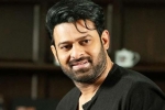 Prabhas Project K new updates, Prabhas new movie, prabhas to join project k from november, Ashwini dutt