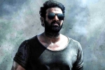 Prabhas Salaar new updates, Prithviraj Sukumaran in Salaar, prabhas salaar to have malayalam star, Shruthi