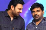 Prabhas and Maruthi film news, Prabhas and Maruthi film, new title for prabhas and maruthi film, Nidhhi agerwal