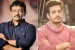 Akhil Akkineni, Ram Gopal Varma updates, ram gopal varma to direct akhil, Rgv twitter