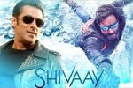 Salman Khan news, Salman Khan, salman khan to promote shivaay, Big boss